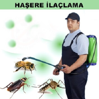 Aliağa Böcek İlaçlama